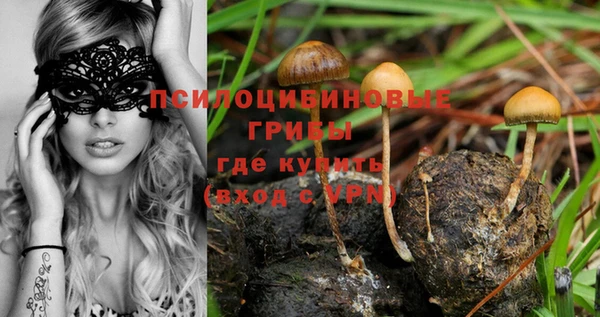 дживик Армянск