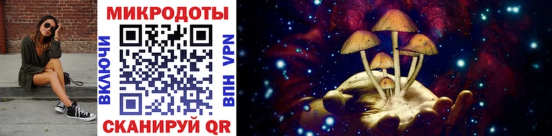 закладка Богородицк Псилоцибиновые грибы Magic Shrooms